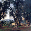 8 great painters who painted the olive tree - Hellenic Imports