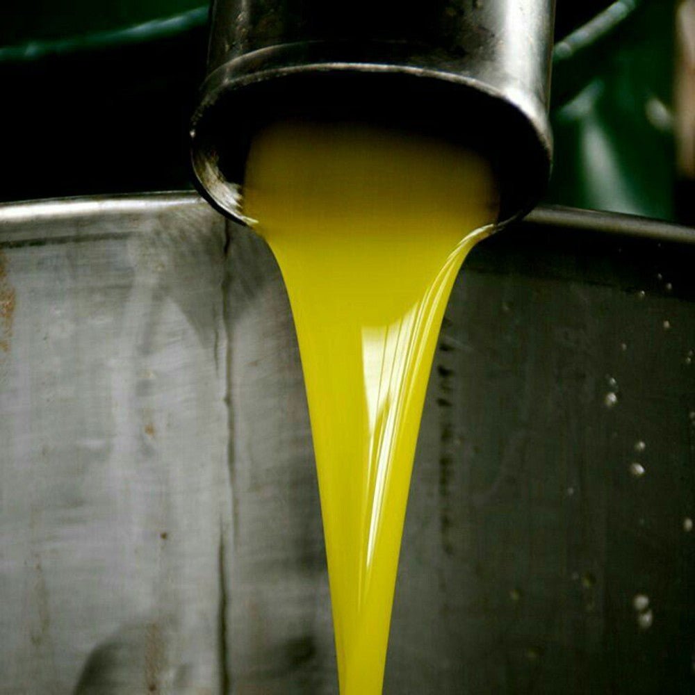 How crushing speed affect quality and quantity of olive oil - Hellenic Imports