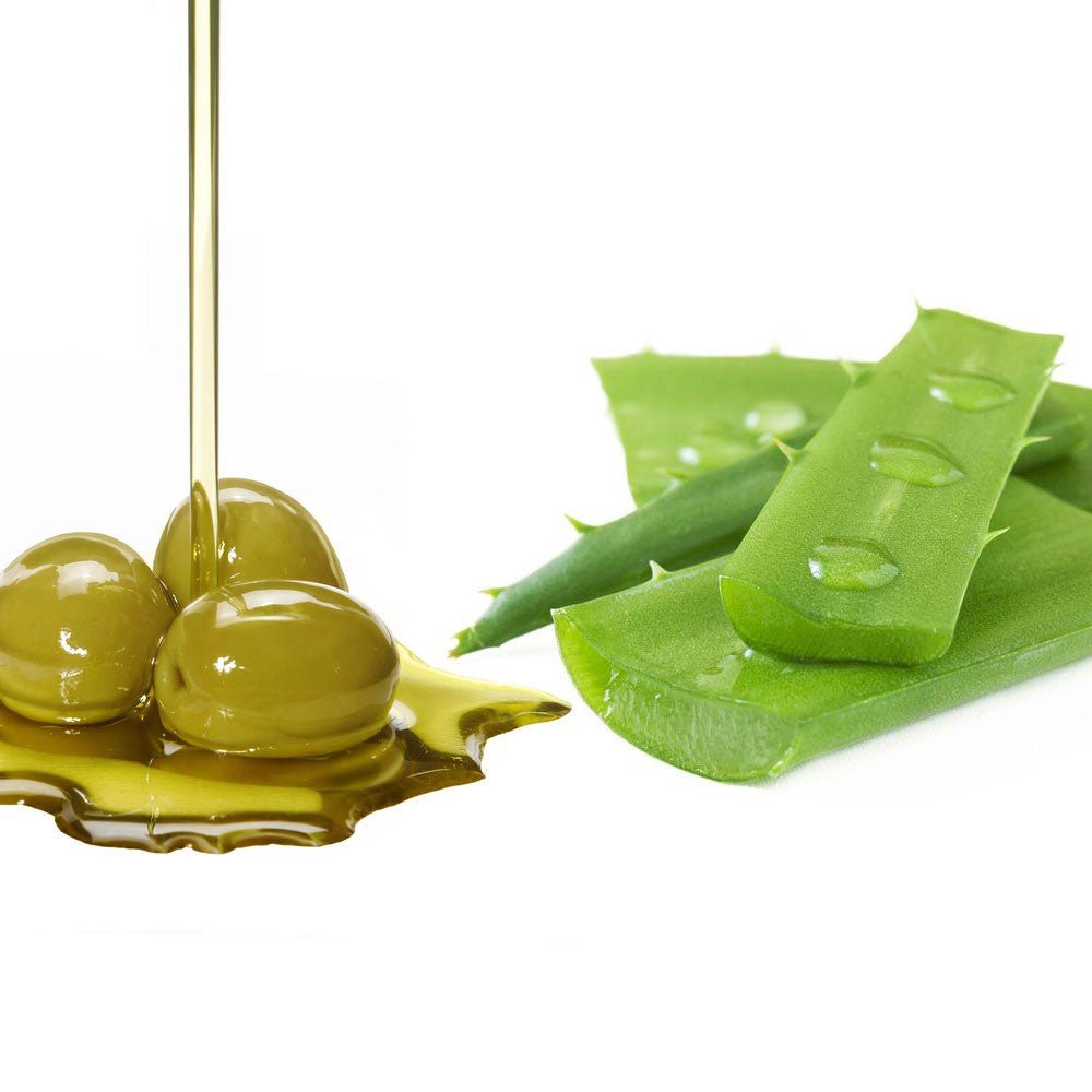 Olive oil and aloe vera, the combination of natural moisturizing - Hellenic Imports