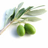 Polyphenols against allergies - Hellenic Imports