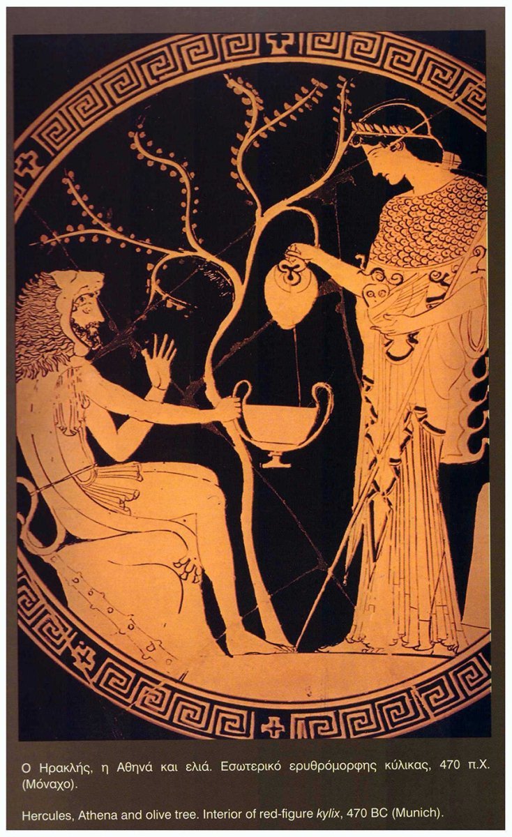 The Olive Tree (Mythology) - Hellenic Imports